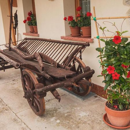 B&B La Tieda Belluno Exterior foto