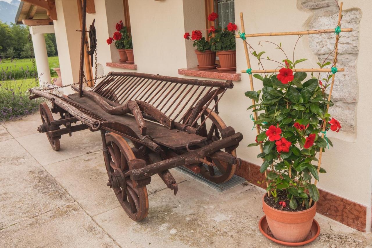 B&B La Tieda Belluno Exterior foto