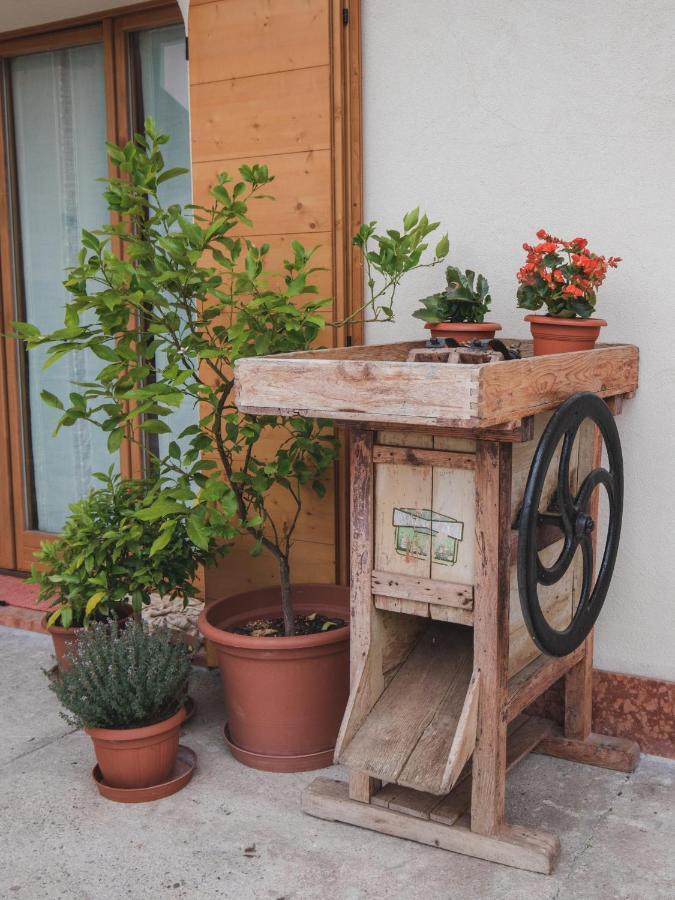B&B La Tieda Belluno Exterior foto