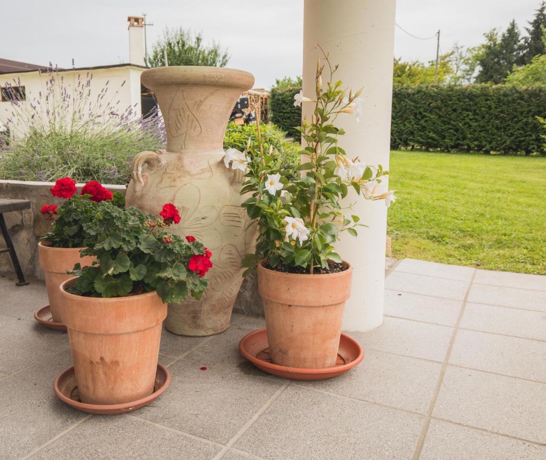 B&B La Tieda Belluno Exterior foto
